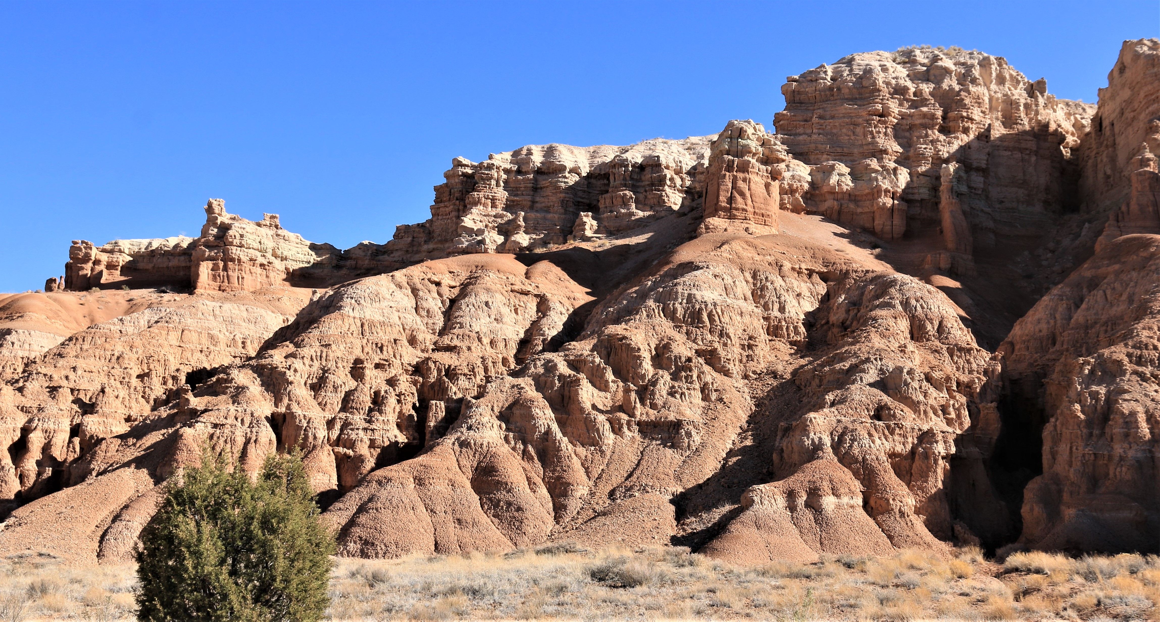 Nevada